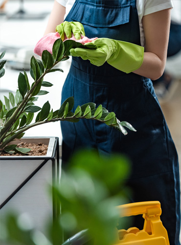 Neat-N-Tidy-Facility-Services-Victoria-Australia